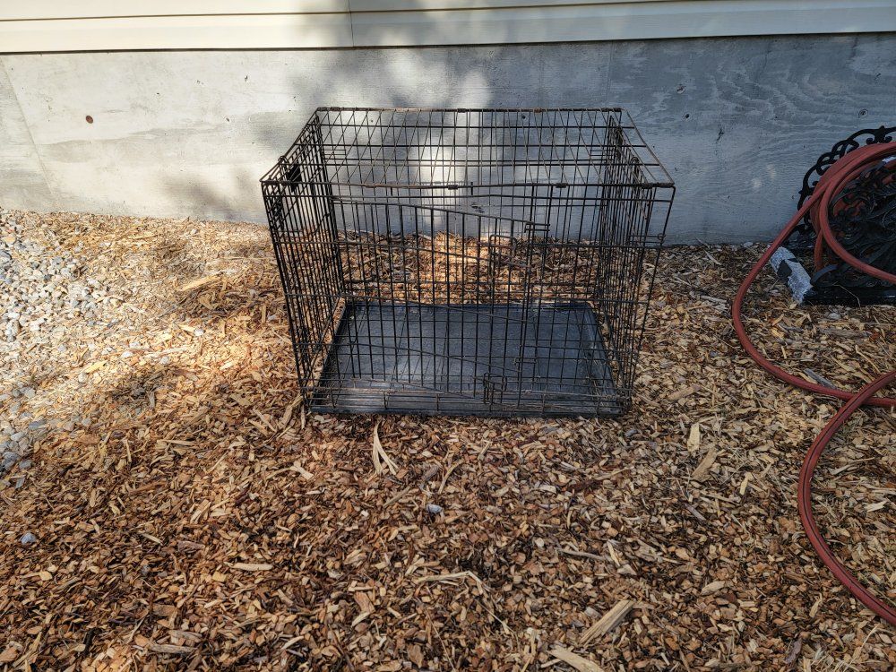 Heavy-Duty Foldable Wire Dog Crate with Tray - Used Pet Kennel
