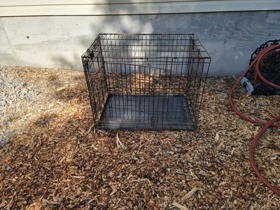 Heavy-Duty Foldable Wire Dog Crate with Tray - Used Pet Kennel