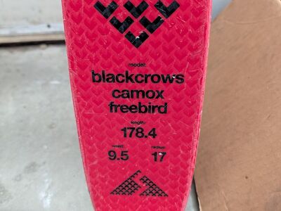 Single Camox Freebird 178cm length, 95cm underfoot