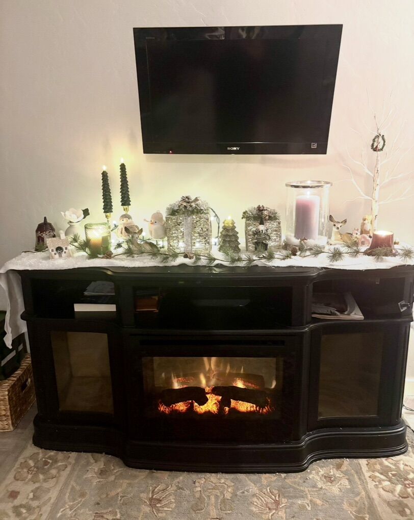 Electric Fireplace Console - FREE!