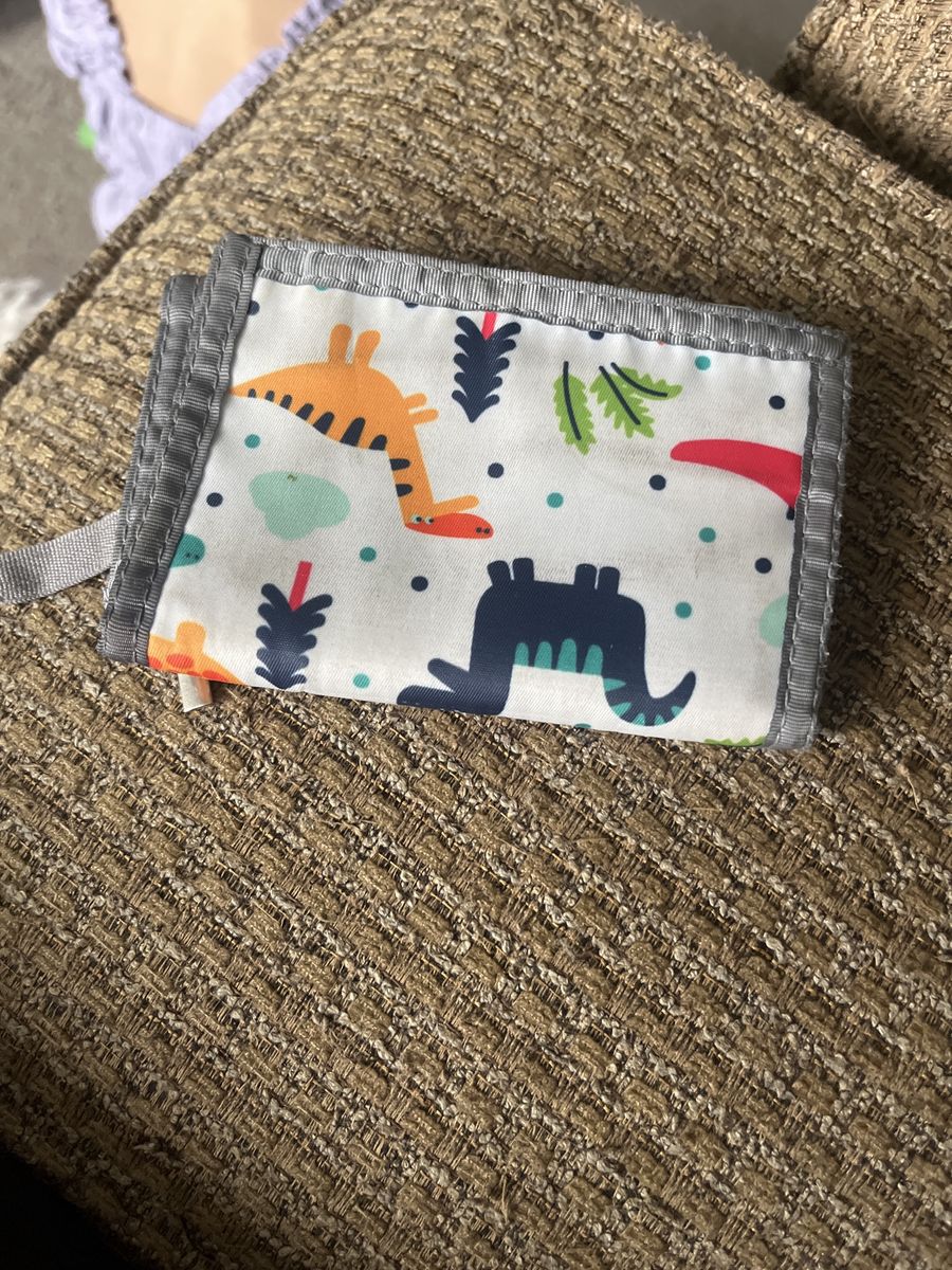 Dinosaur wallet