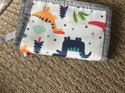 Dinosaur wallet
