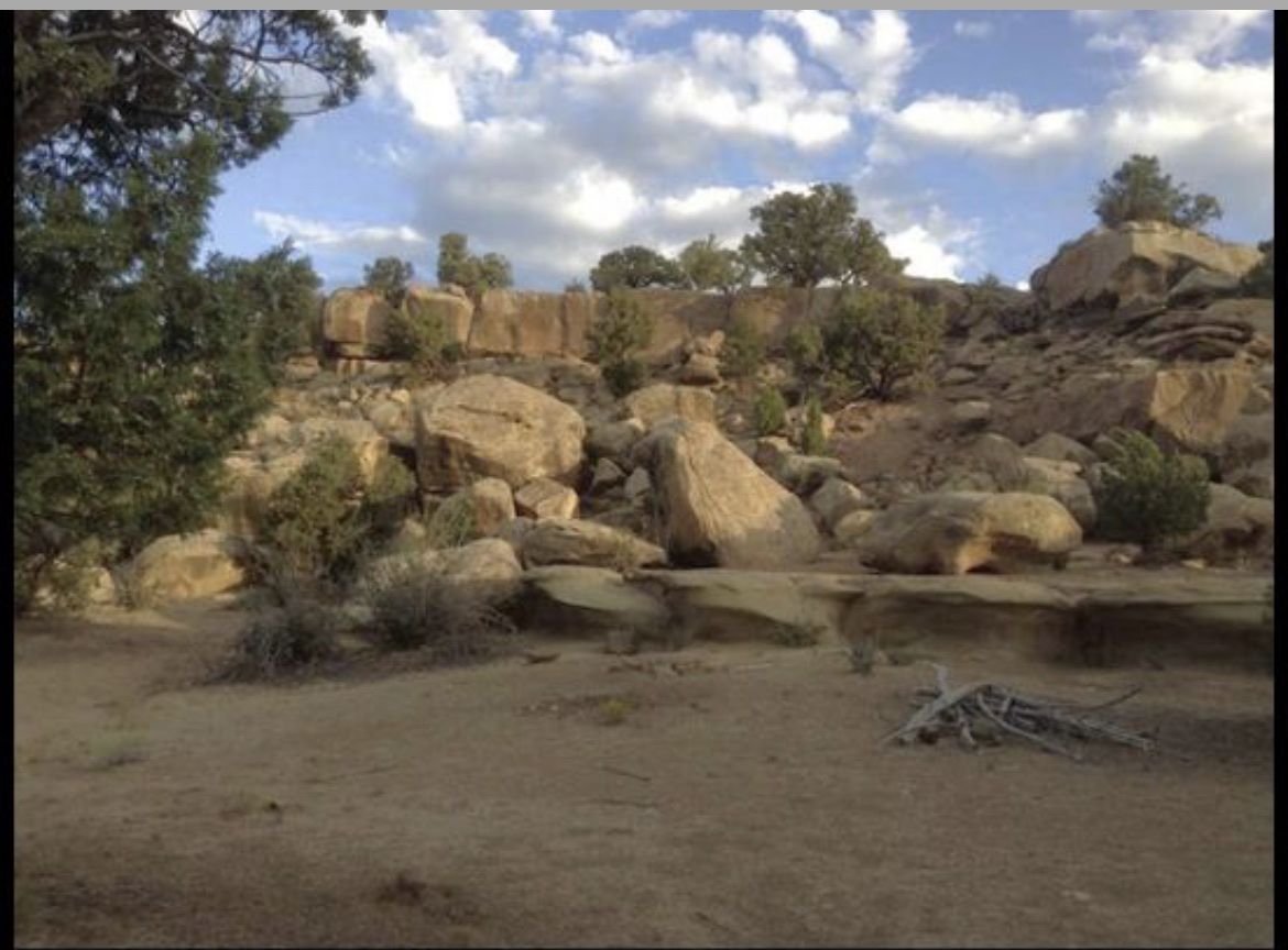 Main image 8