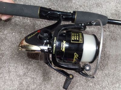 Quantum Lite Fishing Rod & Shakespeare Reel Nice!
