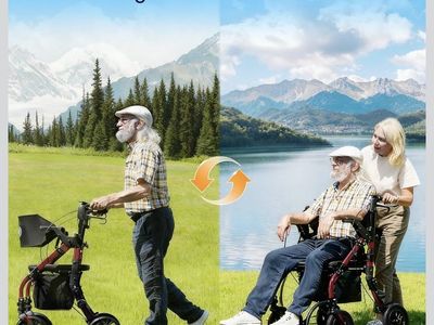 2 in 1 Walker Wheelchair Combo