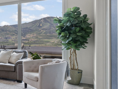 Faux Fiddle Leaf Fig Trees, 7 ft (Nearly Natural) — $75 each or $130 for both Available now — moving sale