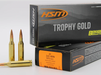 HSM .243 Win 95gr Berger VLD – 54 rounds