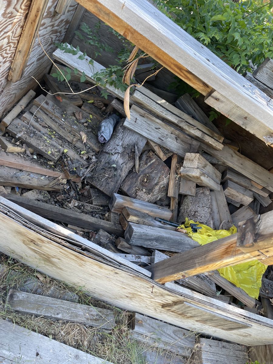 FREE WOOD