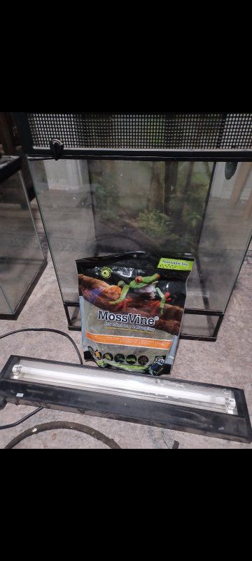 Complete Reptile/Amphibian Habitat Setup: 3 Tanks, Lighting, Heating, Decor, Moss