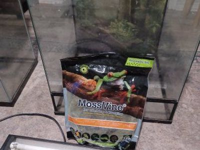 Complete Reptile/Amphibian Habitat Setup: 3 Tanks, Lighting, Heating, Decor, Moss