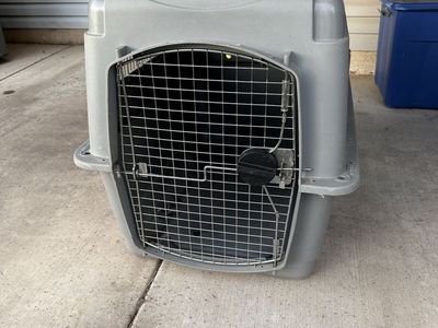 Pet Carrier Crate Gray Medium-Large Dog Cat Travel Kennel