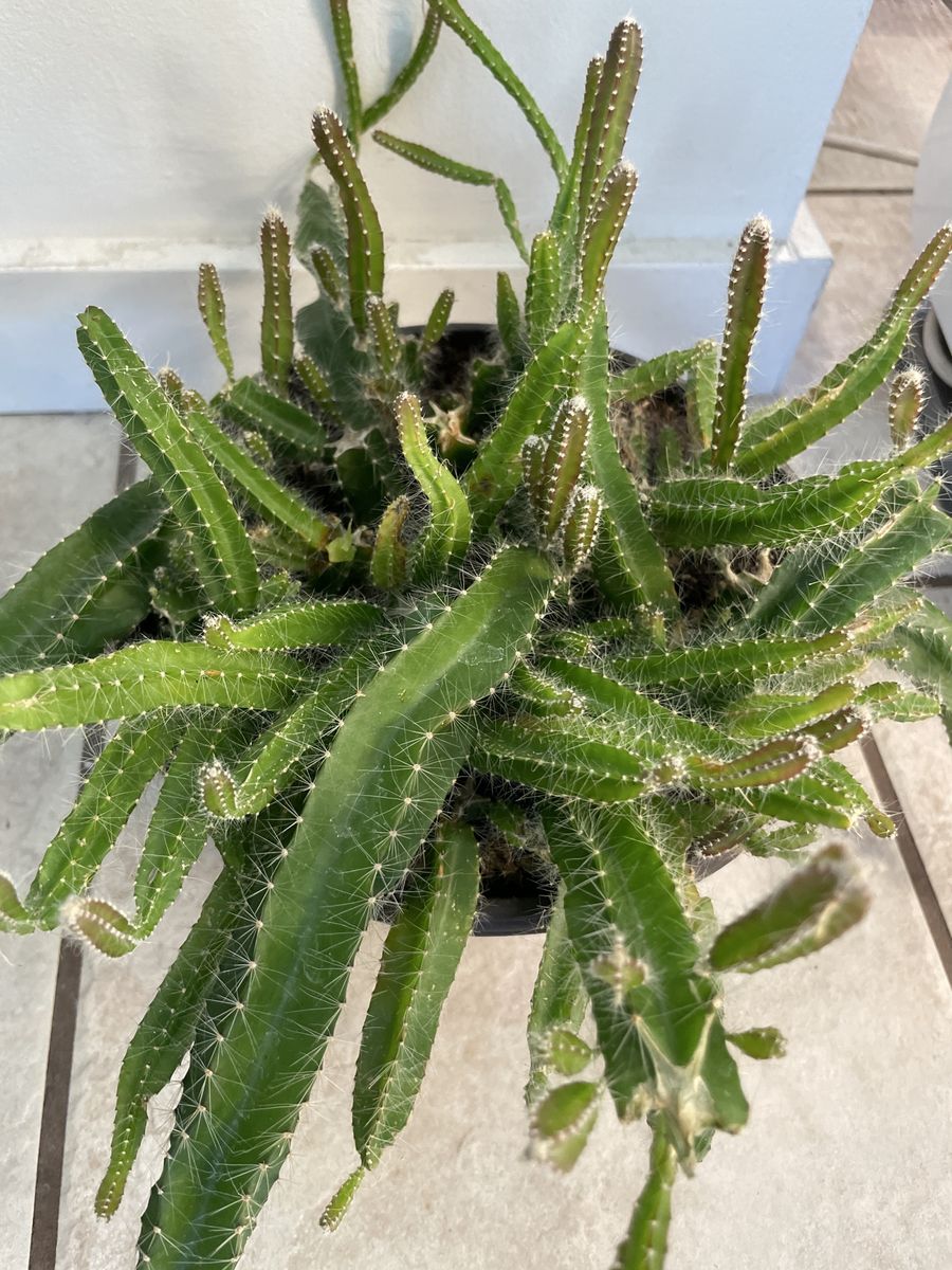 Main image 6