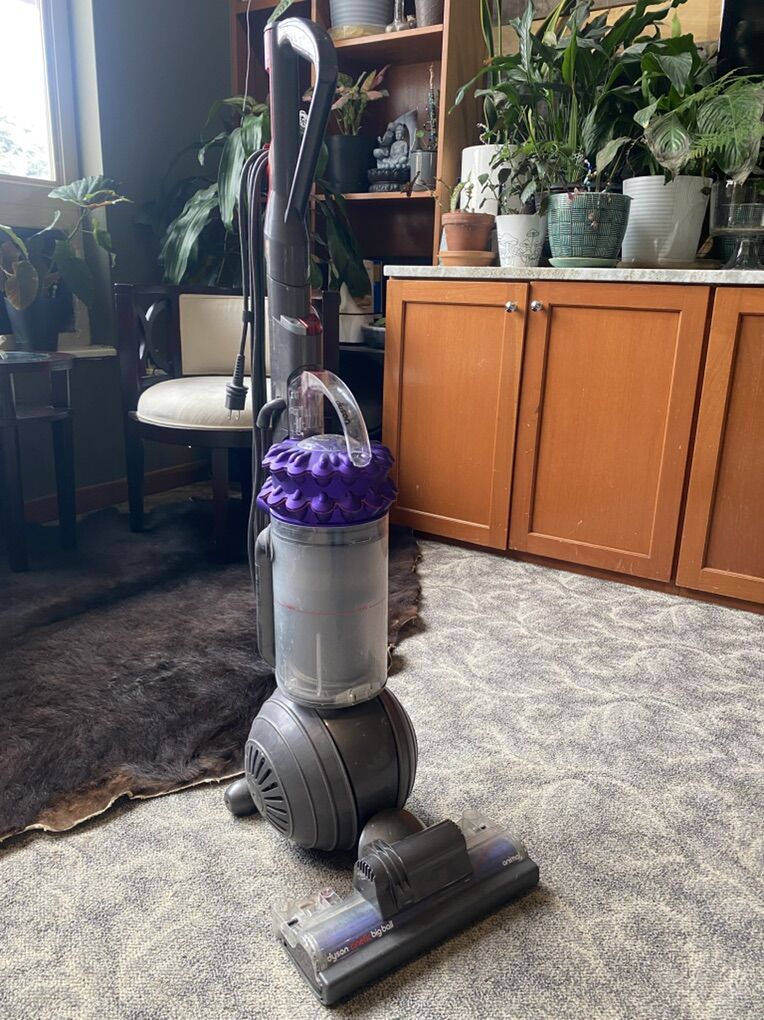 Dyson Big Ball Animal