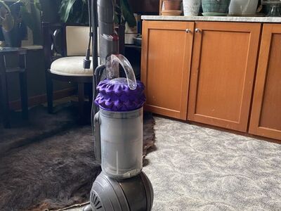 Dyson Big Ball Animal