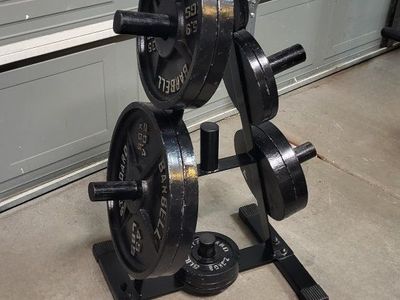 weight plates 255 pounds