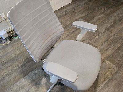 Branch Ergonomic Chair