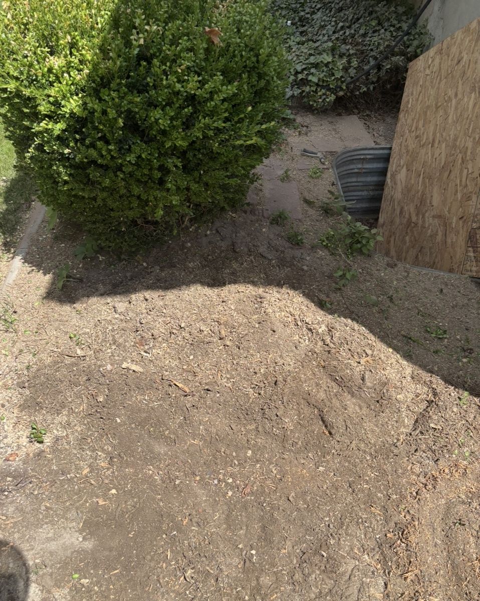 Main image 5