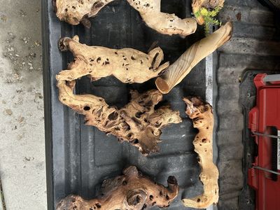 Wood