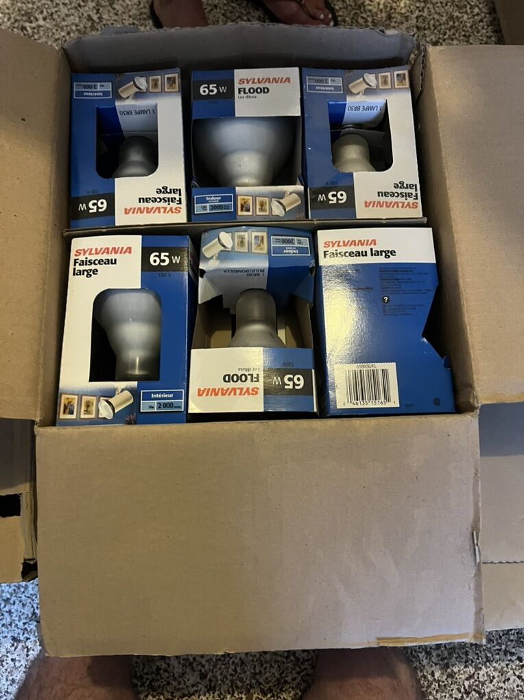 61 Sylvania 65 Watt Large Bulbs
