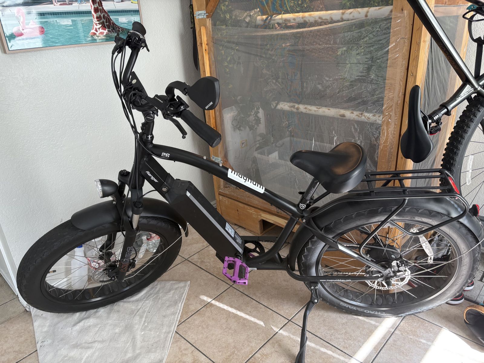 Electric Bike