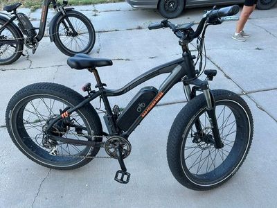 Rad Rover E-Bike