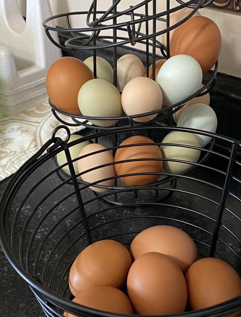 Little Giant Egg Basket and Spiral Egg Skelter