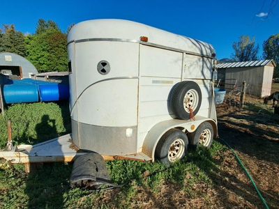 Extra Wide Two Horse Straight Load
