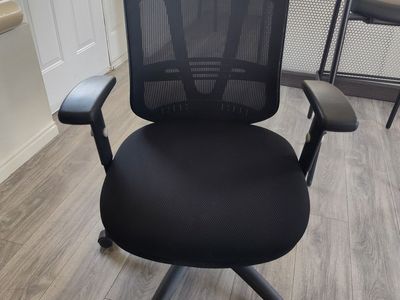 Black Mesh Ergonomic Office Chair with Adjustable Arms and Lumbar Support - Swivel, Task Chair