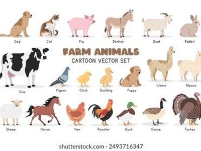 We take in any animal for free