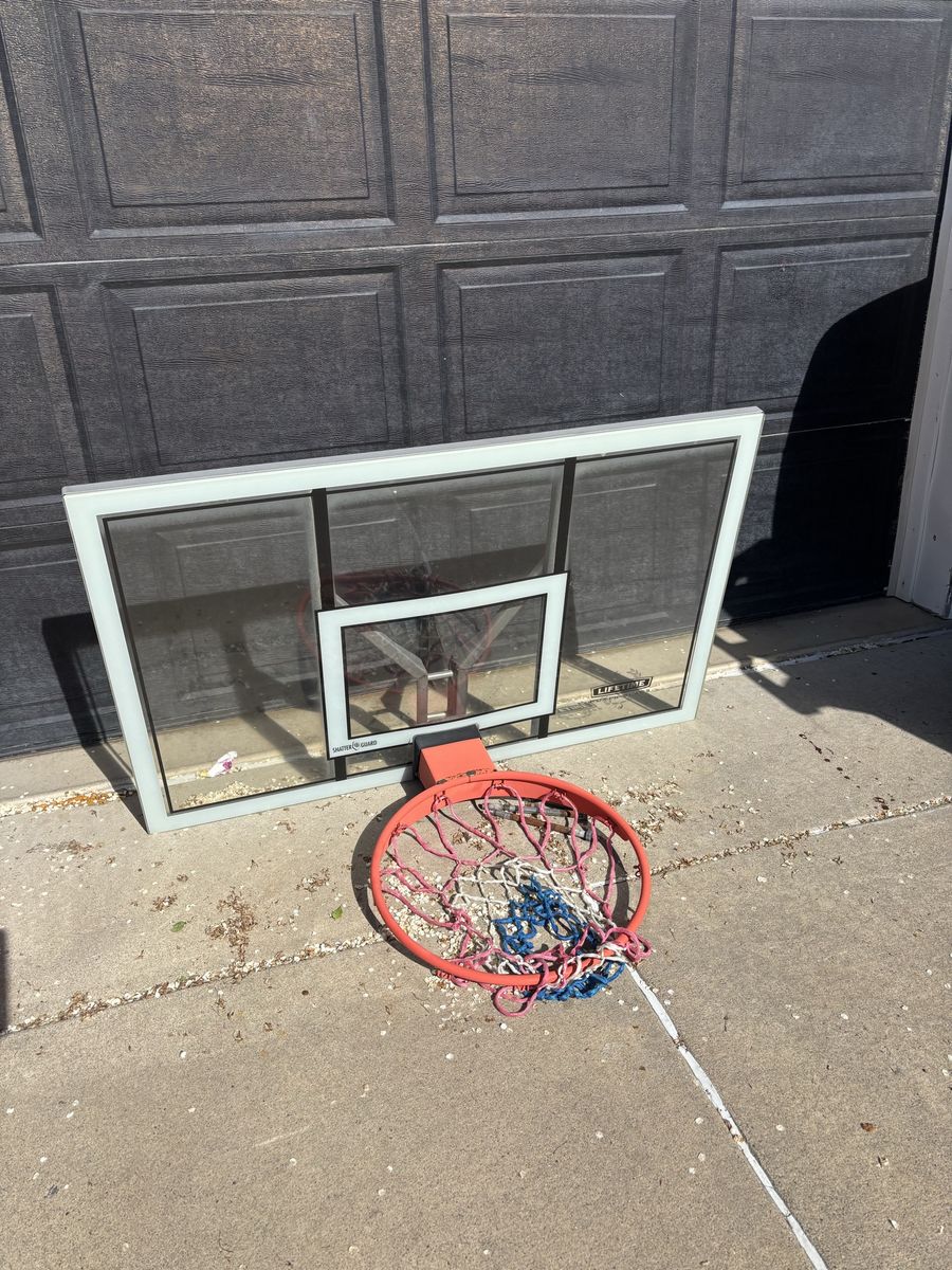 Lifetime Basketball Backboard & Rim – Used