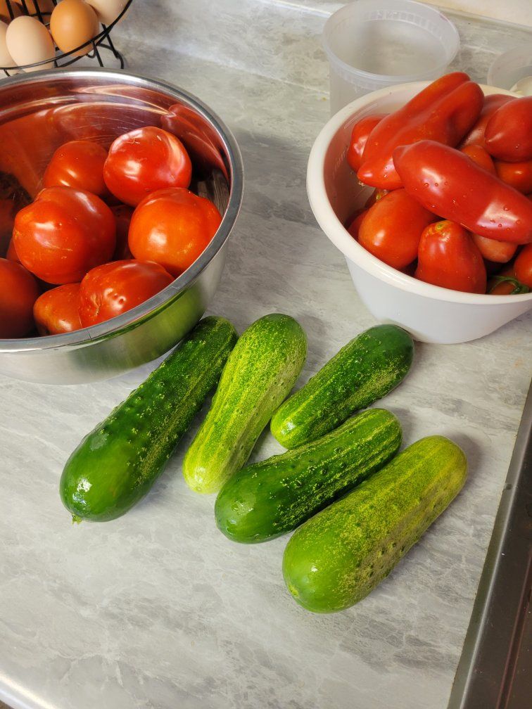 Fresh Home Grown Tomatoes and Cucumbers