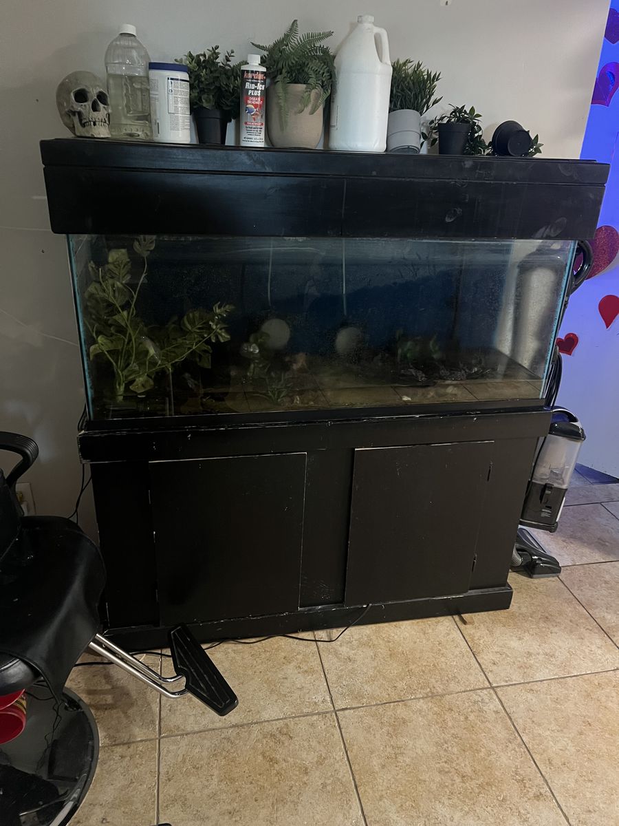 55 gallon fish tank with stand and top