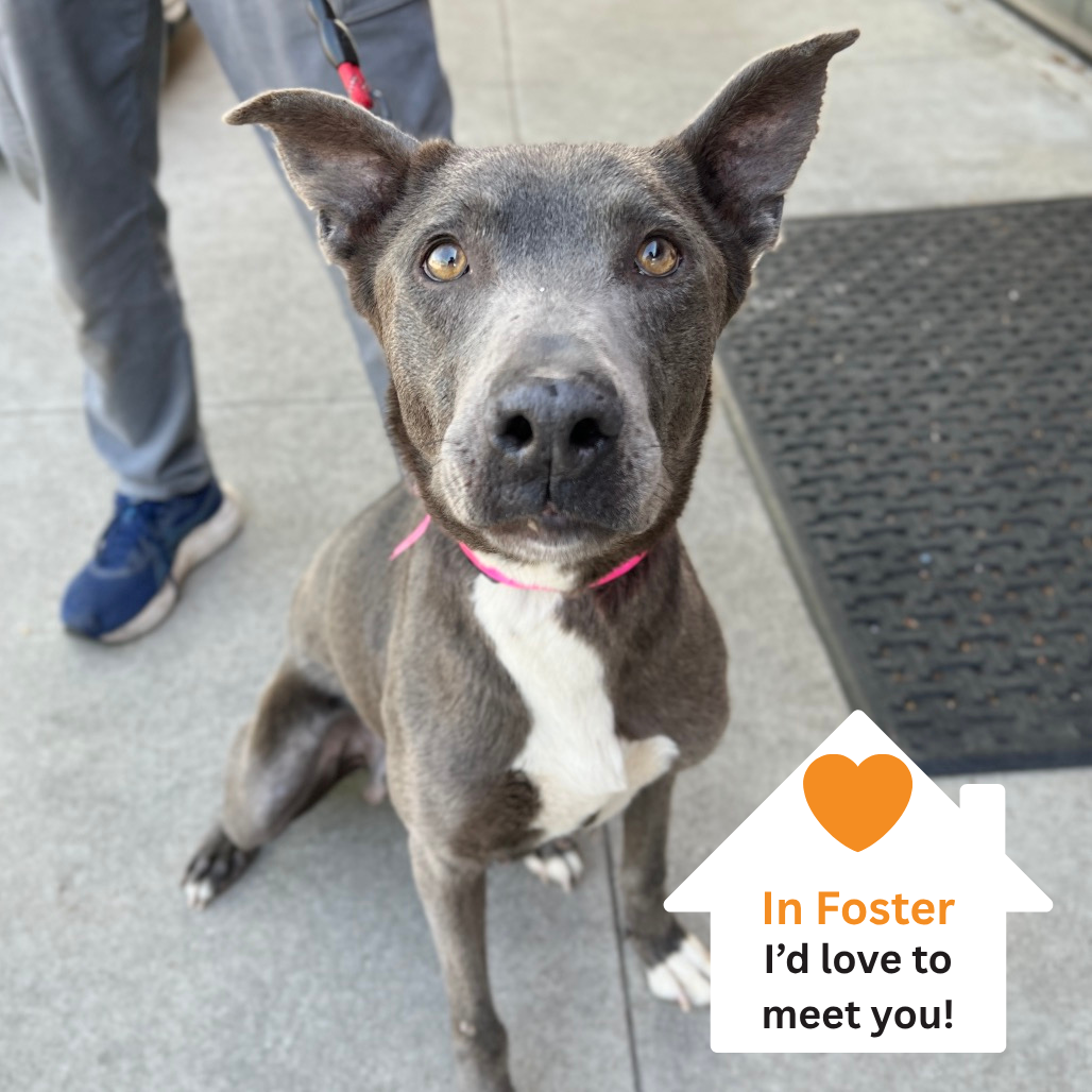 Hello my name is Kiara