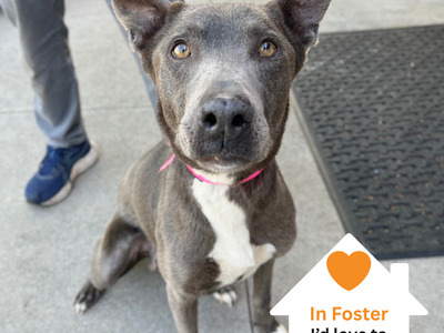 Hello my name is Kiara