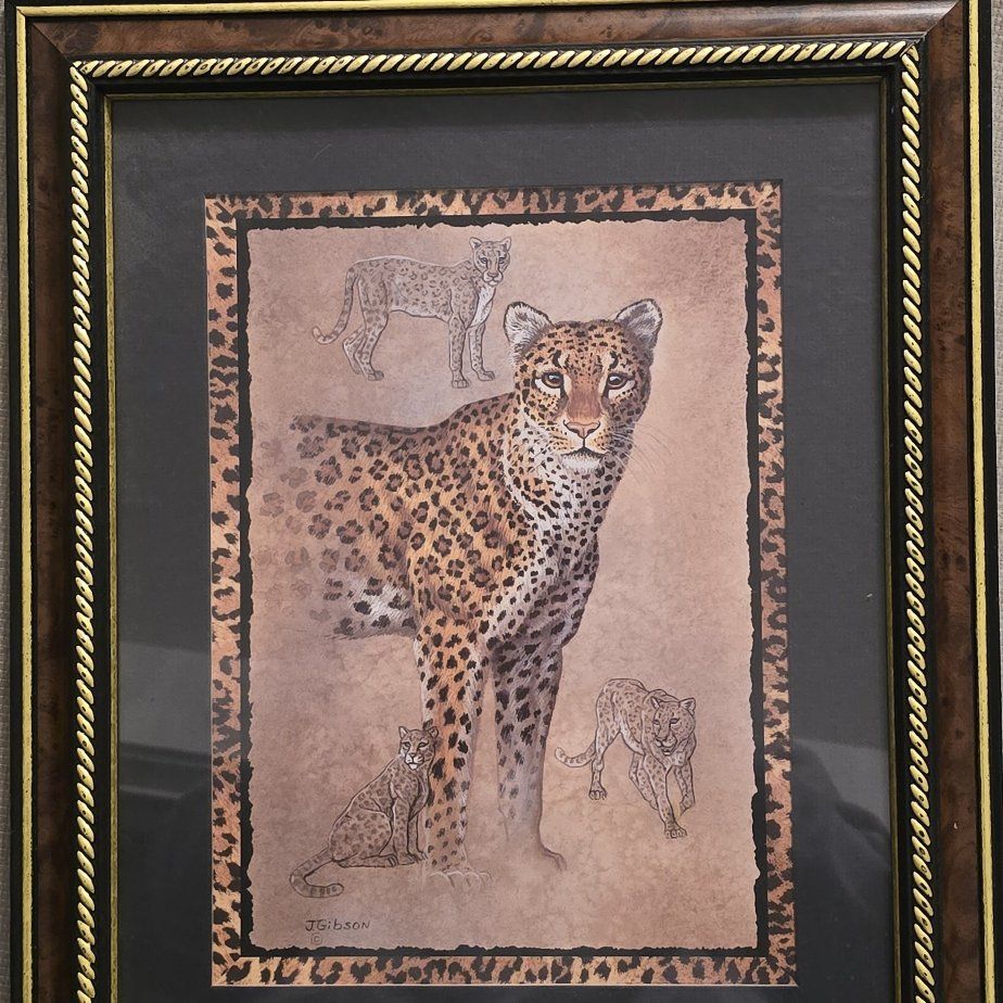 Cheetah picture