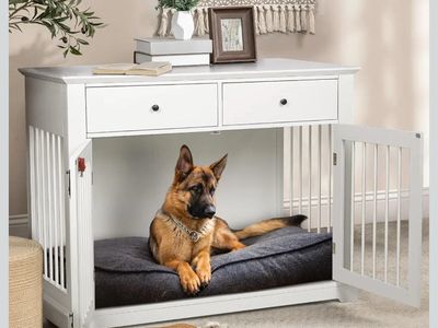 Nice New Dog Kennel End Table