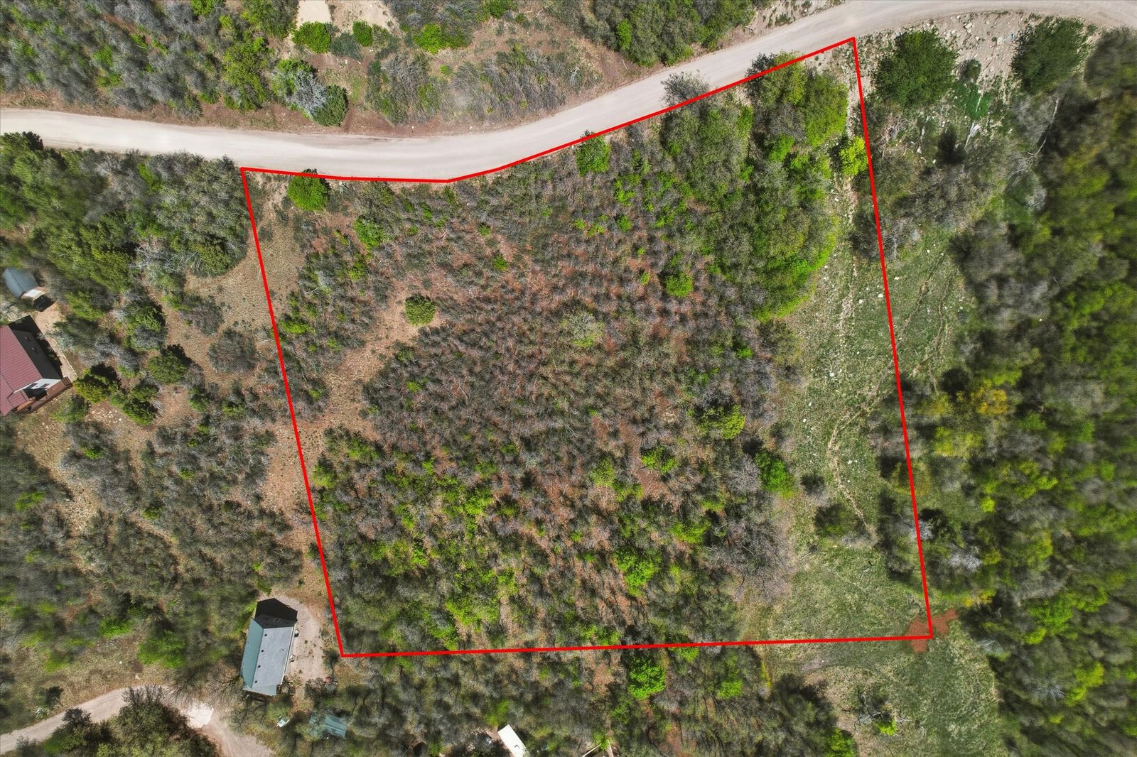 Main image 6