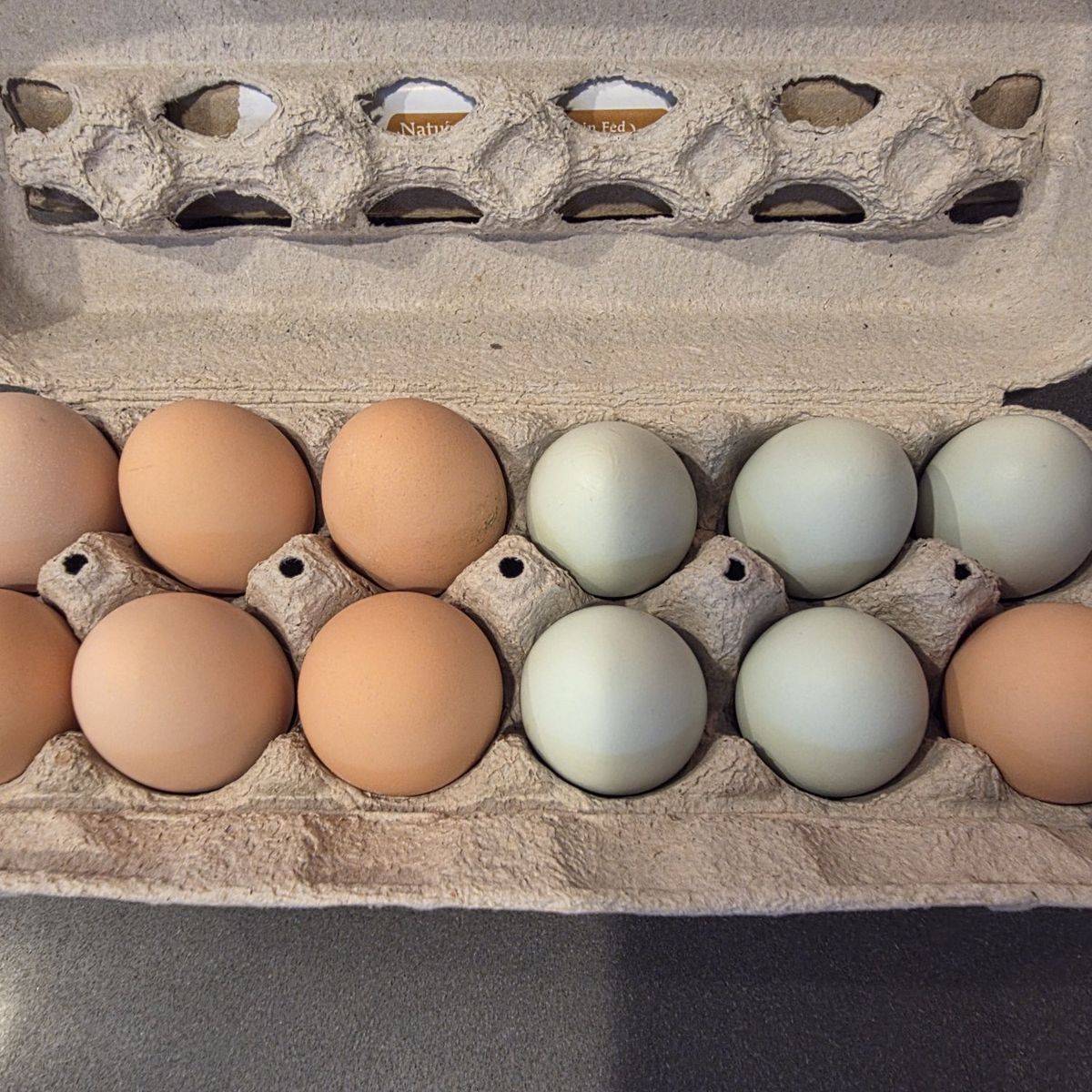 Organic Free Range Large Eggs