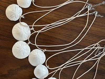 Real Sand Dollar Necklaces