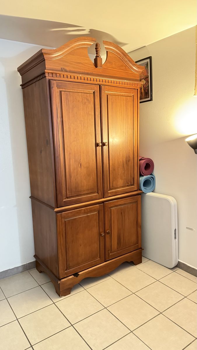 Armoire / Cabinet FREE