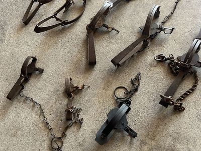 8 antique traps