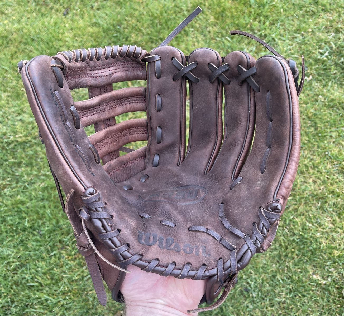 Wilson 12.5 in. Baseball/Softball Glove