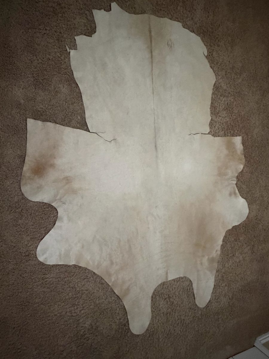 Main image 14