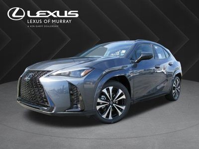 2025 Lexus UX 300h F SPORT Design