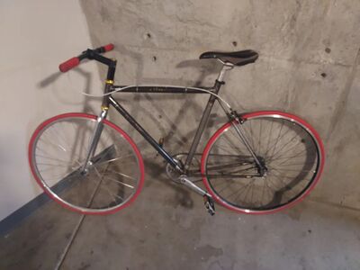 Custom Bicycle Stolen in Salt Lake City
