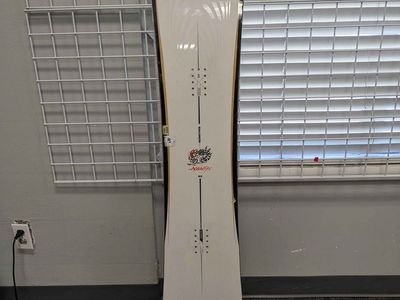 Salomon Assassin 153cm Snowboard - Used (2026)