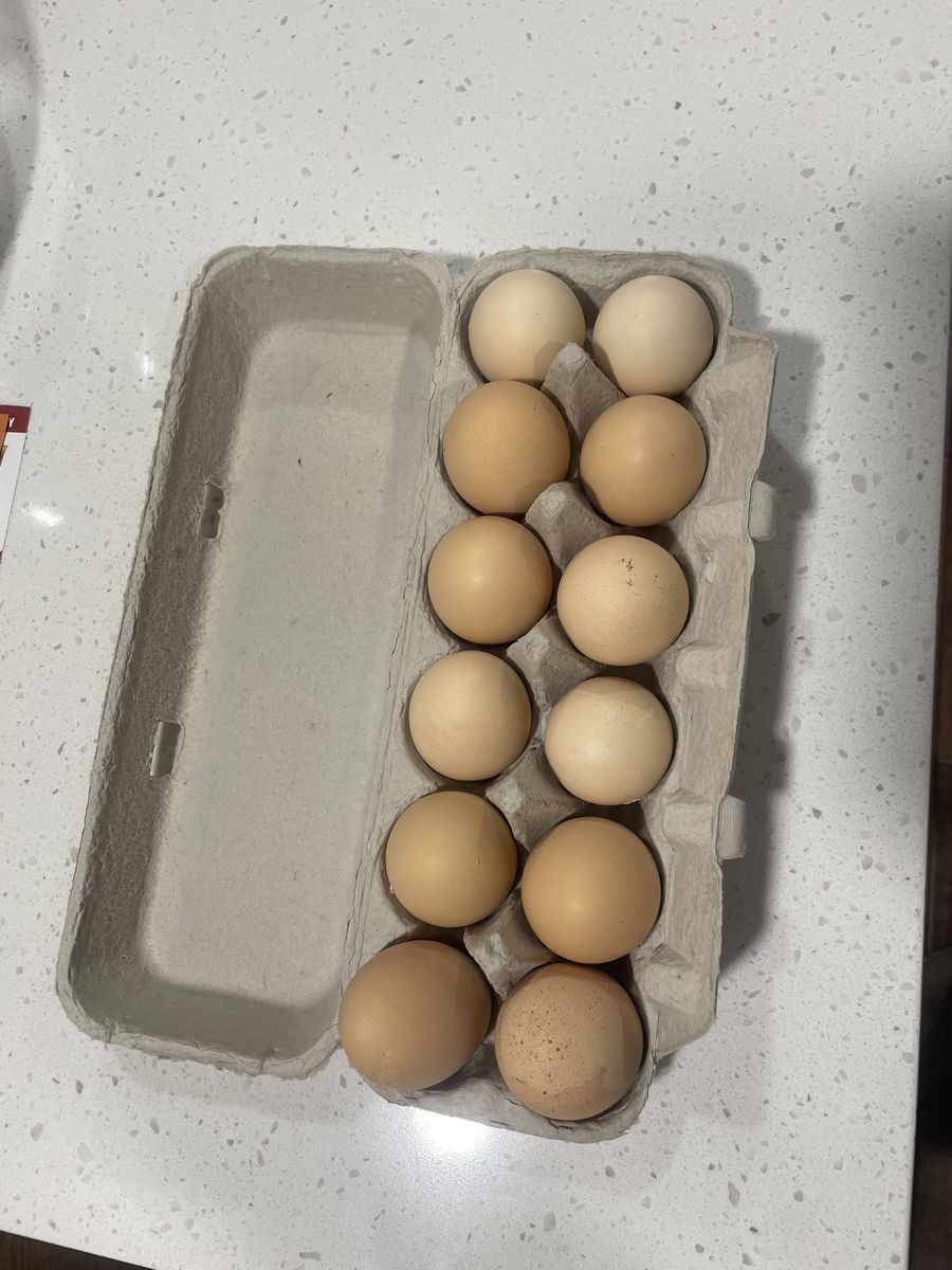 Organic fresh eggs