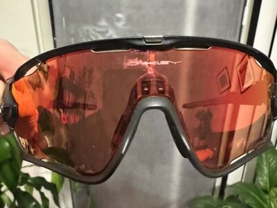 Oakley Glasses