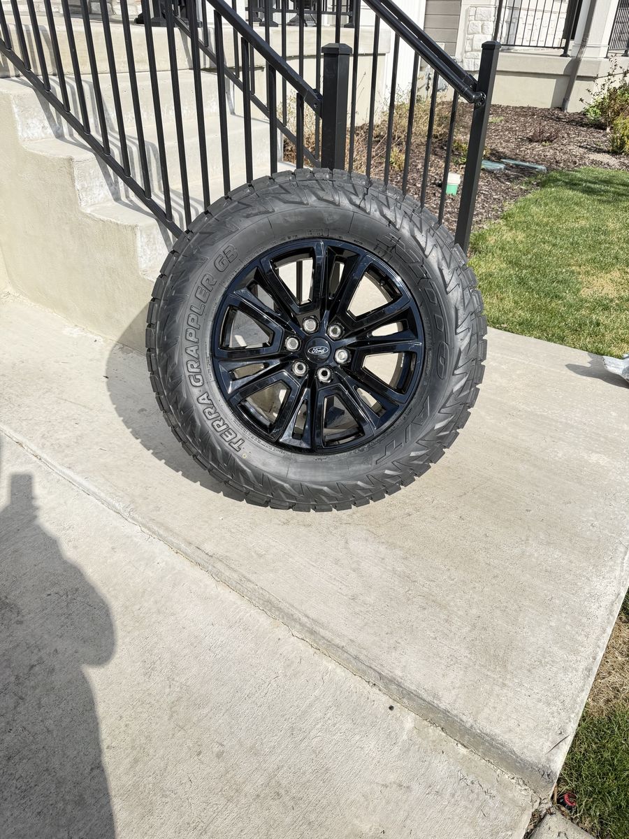 Ford F150 Rims and Tires 295/65R20 Nitto G3