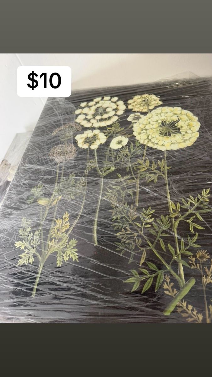 Floral Botanical Wall Art - Yellow & Green on Black Background - New in Shrink Wrap
